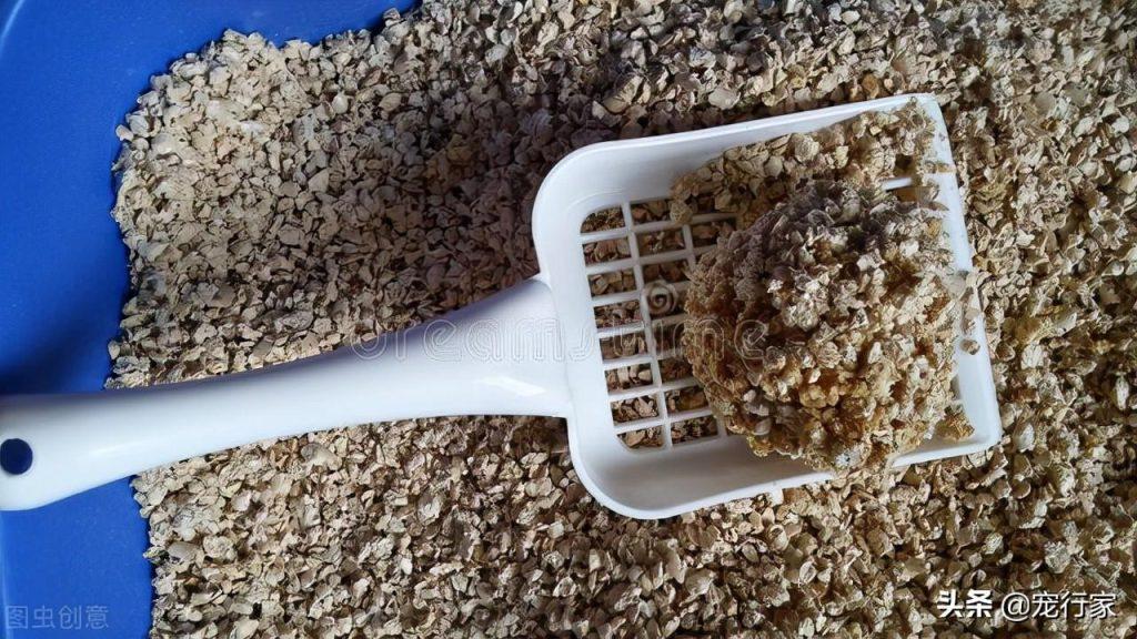 哪种猫砂更适合猫？铲屎官使用起来更顺手？选择猫砂需要关注五点(图4)