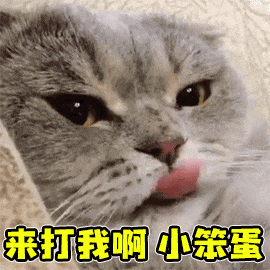 猫为什么会喜欢滚猫砂盆呢？你家猫猫有什么小怪癖(图6)