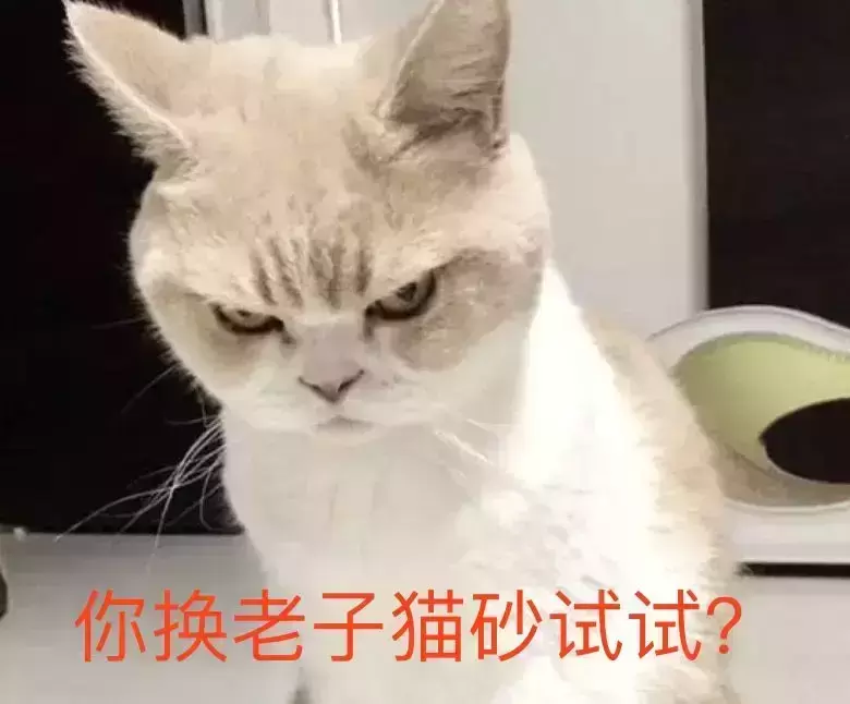 猫为什么会喜欢滚猫砂盆呢？你家猫猫有什么小怪癖(图9)