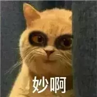 猫为什么会喜欢滚猫砂盆呢？你家猫猫有什么小怪癖(图10)