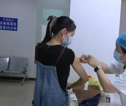 夏季狗猫易狂躁,狂犬疫苗接种率逐日增高!(图1)