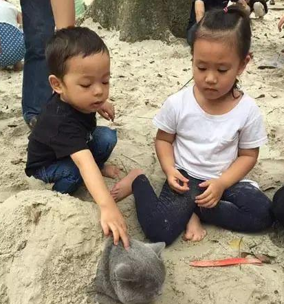 时代变了，现在猫咪的天敌不是狗，而是…(图6)