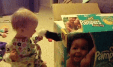 时代变了，现在猫咪的天敌不是狗，而是…(图16)