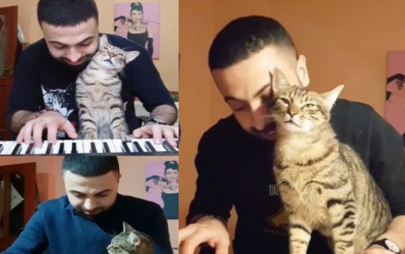 主人弹琴它眯眼享受琴声 这只钢琴猫也太陶醉了吧(图2)