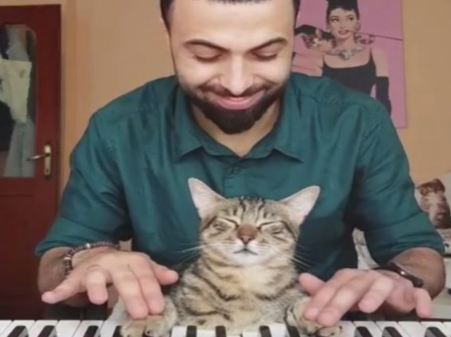 主人弹琴它眯眼享受琴声 这只钢琴猫也太陶醉了吧(图3)