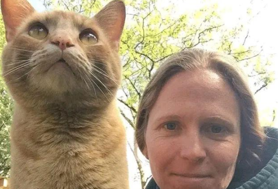 流浪猫用“杂货”交换食物，还厚着脸皮住进女子家，这做法真高招(图1)