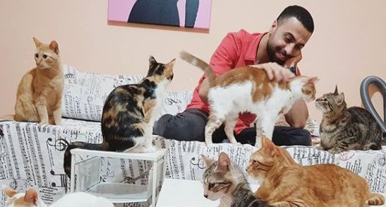 全盲猫咪听见琴音超喜欢 爱猫钢琴家又多位忠实听众(图1)