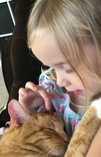 四岁女孩哄猫咪睡觉,被拍下这一幕,网友:美丽瞬间暖哭了!(图3)