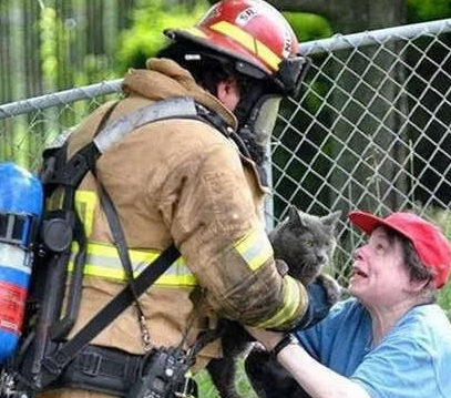 大爱无界 俄消防员氧气罩抢救猫咪(图2)