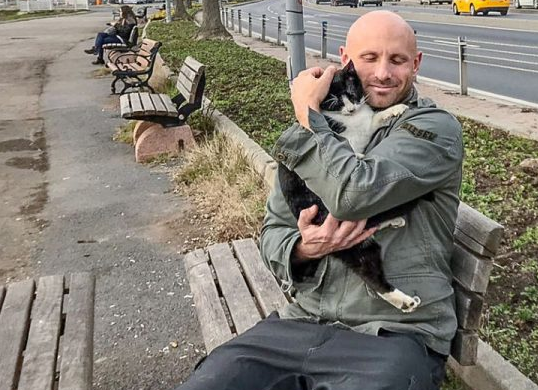 这对猫咪也太治愈了吧 让孤单摄影师流连忘返(图3)