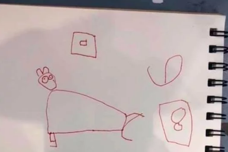 老师布置作业画猫，看完儿子的作品血压升高：跟看恐怖片似的！(图1)