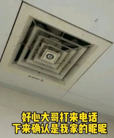 猫咪走丢36天后被找到，体重降了整整4斤：再也不要分开了(图1)