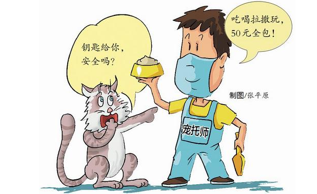 上门帮喂猫代遛狗!职业“宠托师” 您敢托付吗?律师提醒来了(图1)
