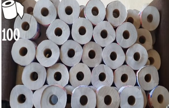 夫妻用一百卷卫生纸铺满客厅 只为讨猫主子开心(图3)