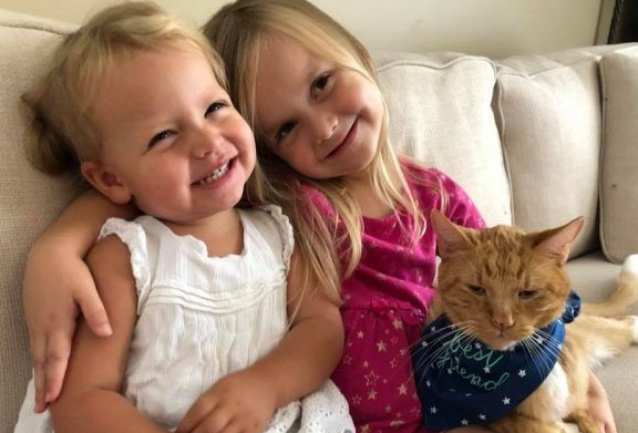 女孩最后一次唱歌给猫哥哥 感人画面惹哭众多网友(图1)