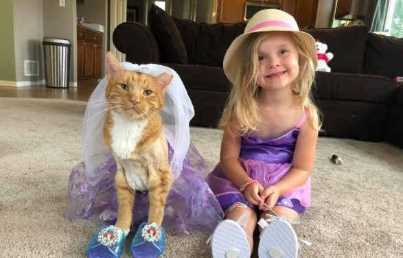 女孩最后一次唱歌给猫哥哥 感人画面惹哭众多网友(图3)