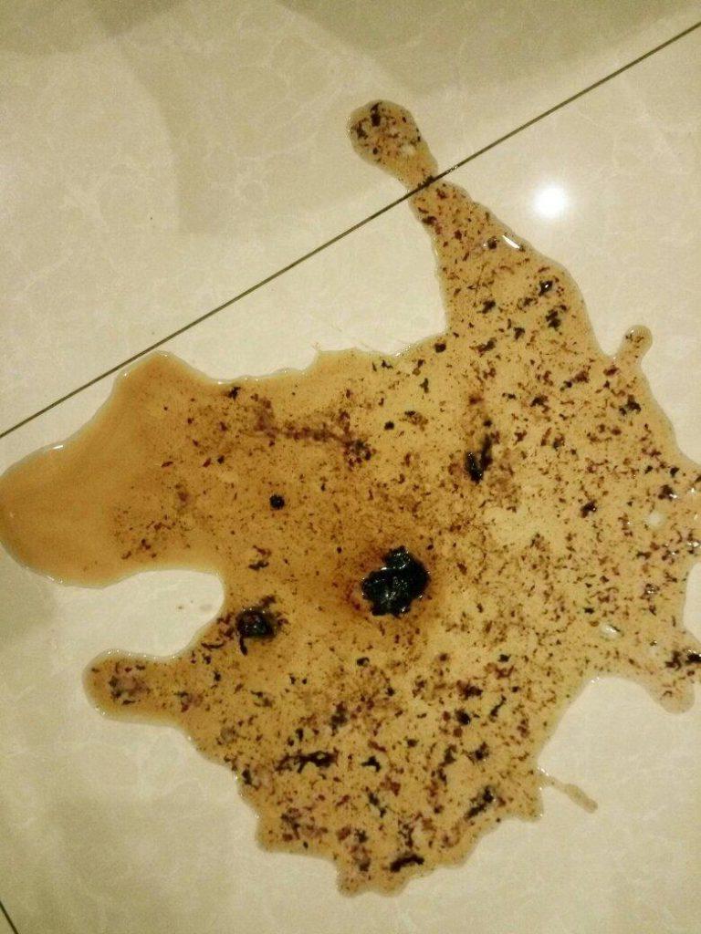 狗狗吐血了，可能是这五种原因，就医时描述清楚吐血的颜色很重要！（狗狗吐血是不是没救了）(图3)