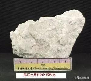 猫砂主要成分是什么？也用于止泻药？这9个猫界冷知识分享(图2)