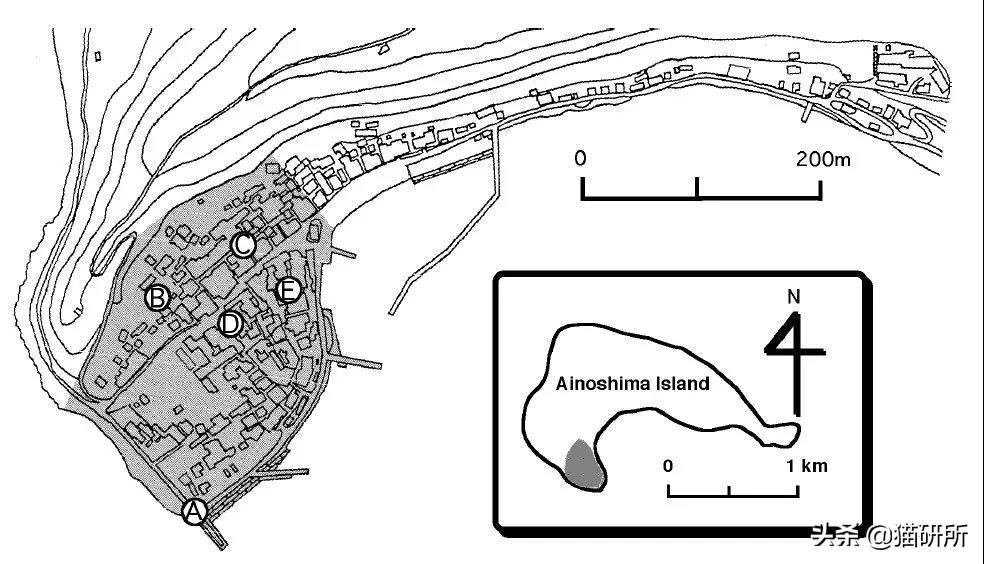 猫砂主要成分是什么？也用于止泻药？这9个猫界冷知识分享(图8)