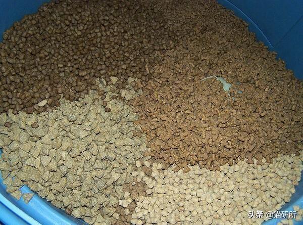 猫砂主要成分是什么？也用于止泻药？这9个猫界冷知识分享(图10)
