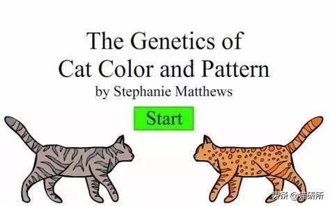 猫砂主要成分是什么？也用于止泻药？这9个猫界冷知识分享(图17)