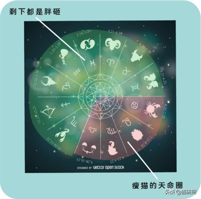 猫砂主要成分是什么？也用于止泻药？这9个猫界冷知识分享(图24)