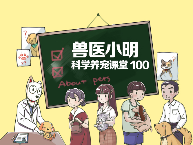 狗狗患上佝偻病，仅仅缺少维生素D？这几点原因也要多留意