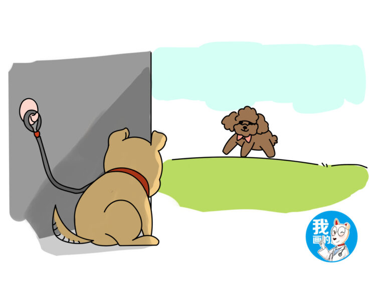 狗狗患上佝偻病，仅仅缺少维生素D？这几点原因也要多留意