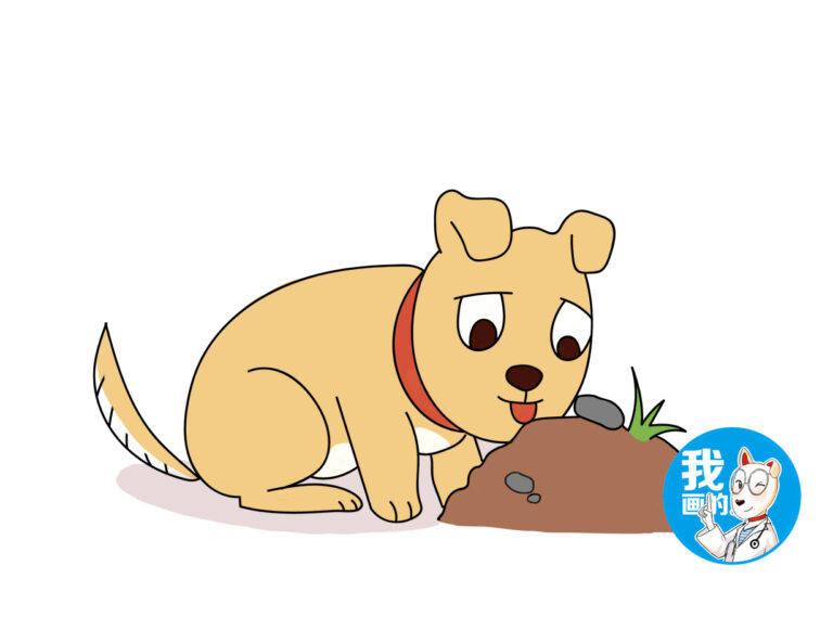 狗狗患上佝偻病，仅仅缺少维生素D？这几点原因也要多留意