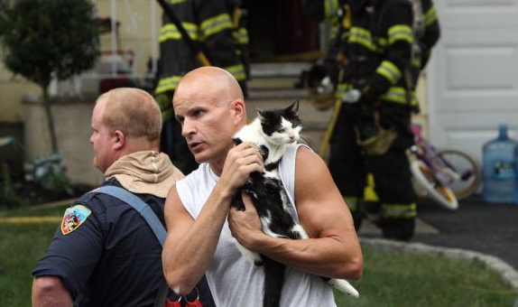 超级霸气战斗民族猫咪 被救火场后依旧战力破表(图2)