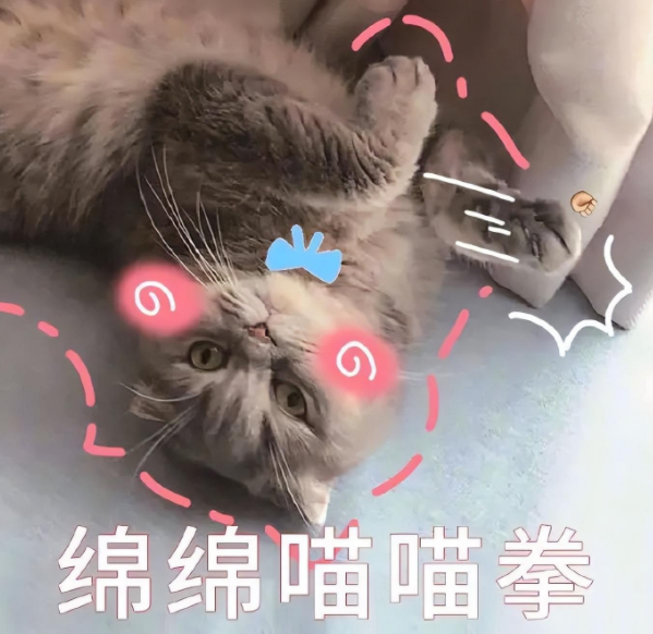 一猫大战三野狼，竟然都被打跑了！猫猫的战斗力到底有多强？(图1)