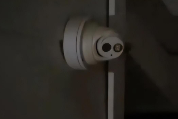 一猫大战三野狼，竟然都被打跑了！猫猫的战斗力到底有多强？(图3)