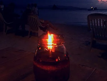 猫咪高级待遇 | 与狗烛光晚餐，猫睡家里主卧，宠物们的高级待遇让我受到万点暴击(图1)