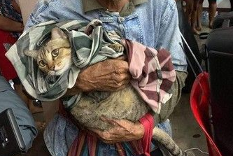 台风来袭泰国南部 老爷爷紧紧抱着爱猫逃难(图1)