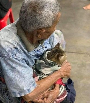 台风来袭泰国南部 老爷爷紧紧抱着爱猫逃难(图3)