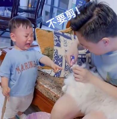 江苏一爸爸给猫咪剪指甲，宝宝大哭“它疼”，随后心机猫上线(图1)