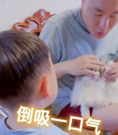 江苏一爸爸给猫咪剪指甲，宝宝大哭“它疼”，随后心机猫上线(图2)