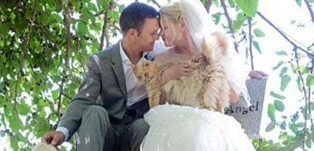 顶级“猫奴”的婚礼 1100只猫见证了他们的爱情誓言(图1)