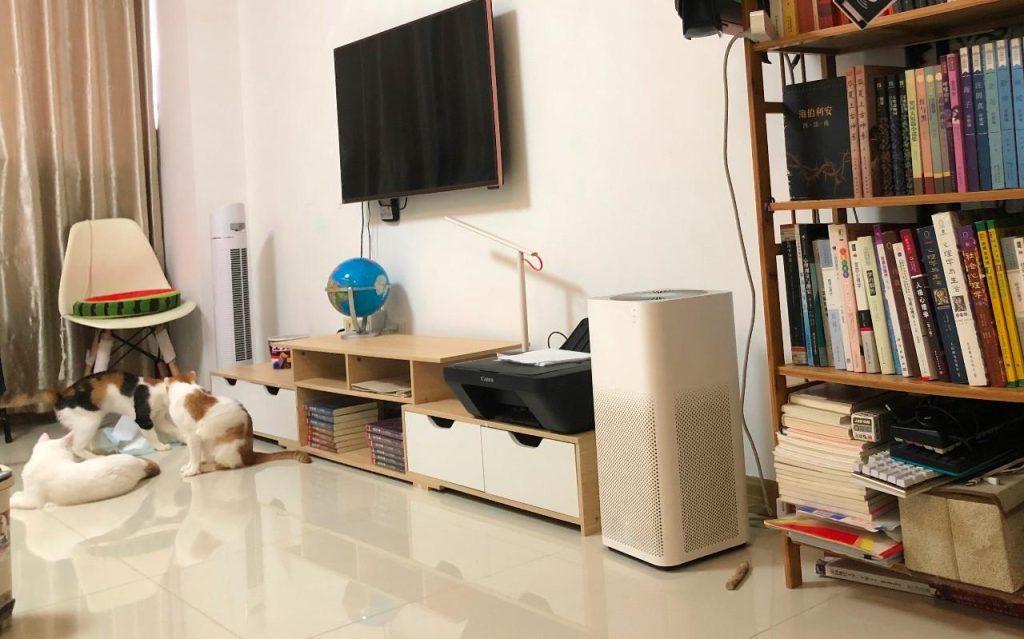 家里养猫，如何尽可能去除味道？(图6)