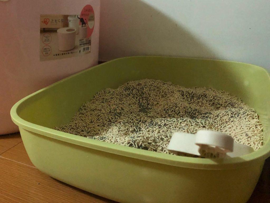 家里养猫，如何尽可能去除味道？(图5)