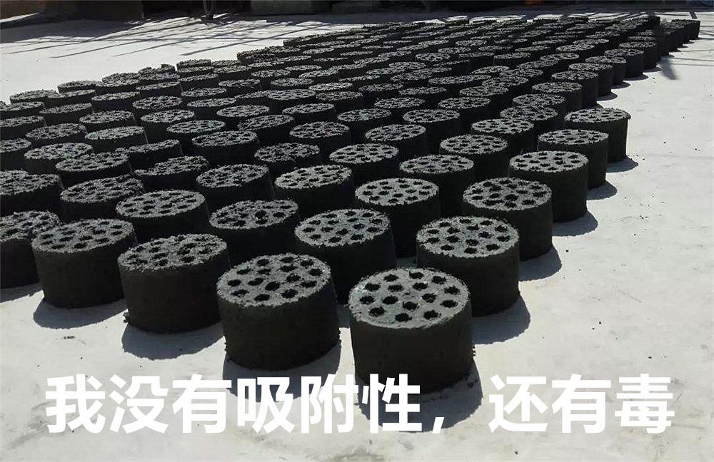 蜂窝煤能代替猫砂？猫咪表示不喜欢，担心患尿路感染(图5)