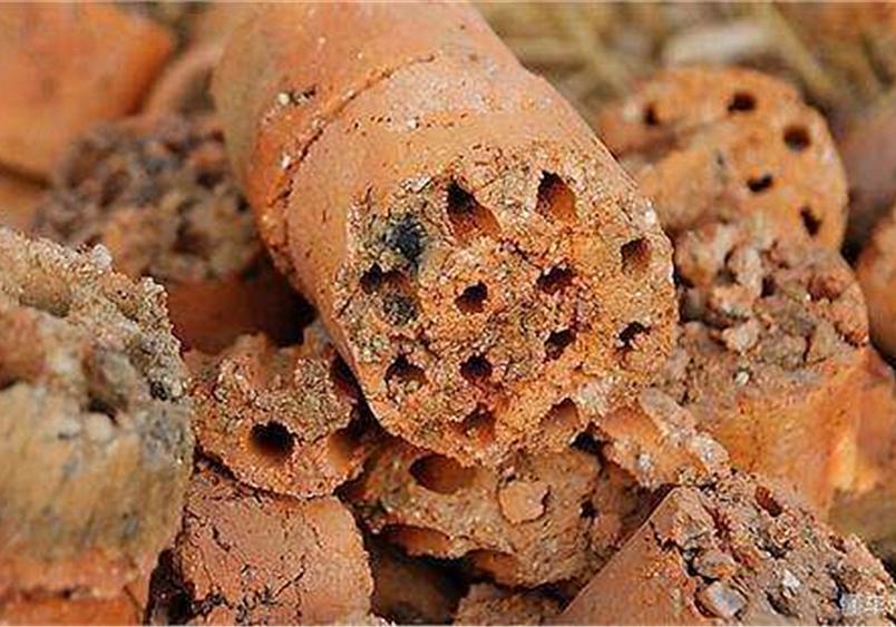 蜂窝煤能代替猫砂？猫咪表示不喜欢，担心患尿路感染(图10)