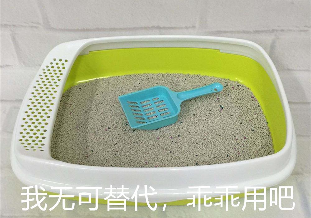 蜂窝煤能代替猫砂？猫咪表示不喜欢，担心患尿路感染(图11)