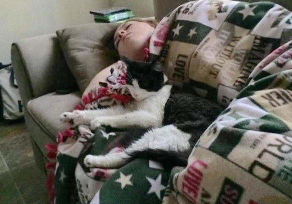 弃猫送收容所却被抱住不放手 好心夫妇决定收编(图2)