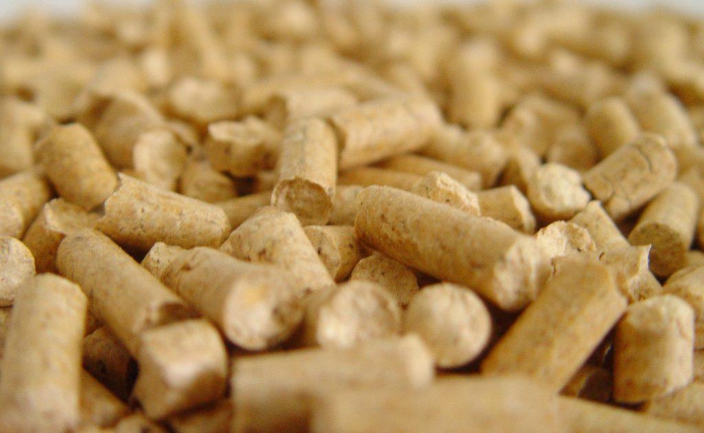 猫咪吃猫砂怎么办？猫咪吃猫砂了该怎么办？(图4)