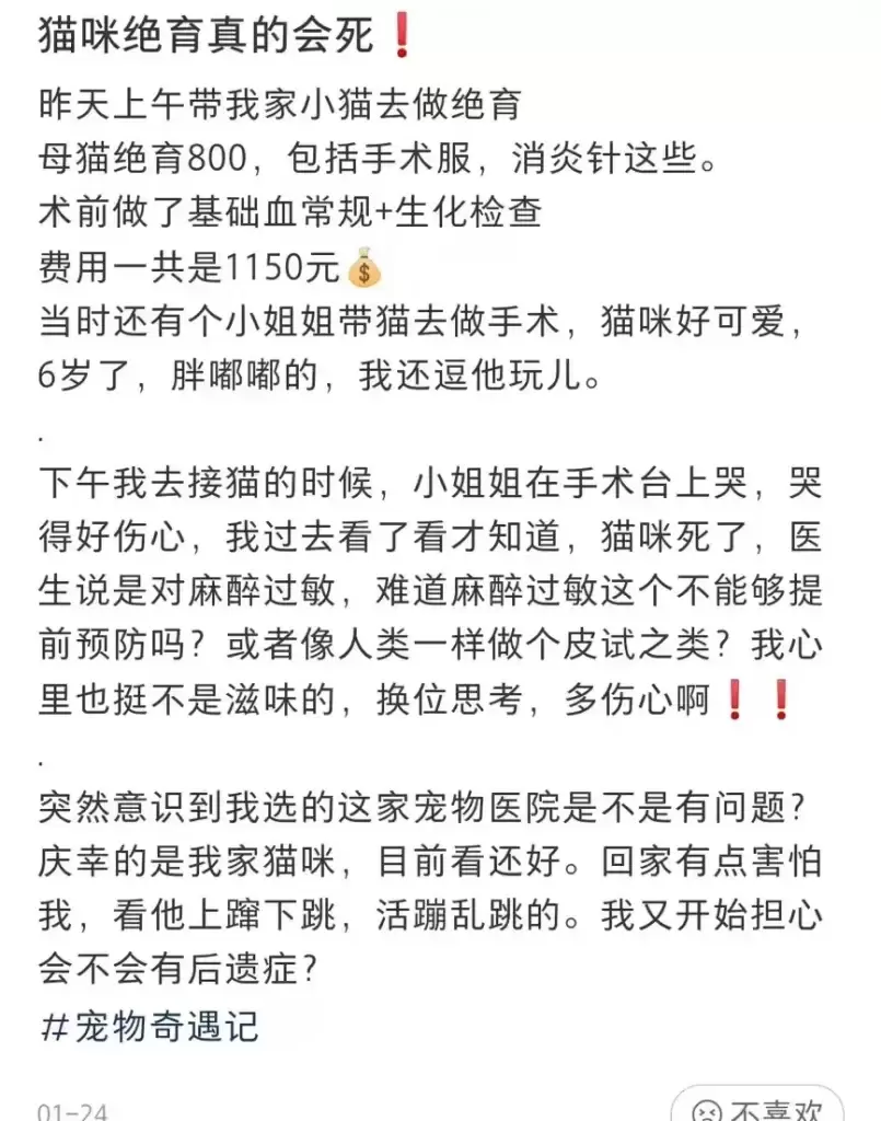 为什么宠物绝育越来越贵？(图5)