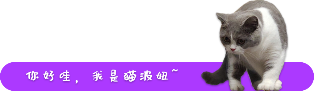 猫喜欢什么温度？怎么给猫咪提供舒适的空间？(图1)