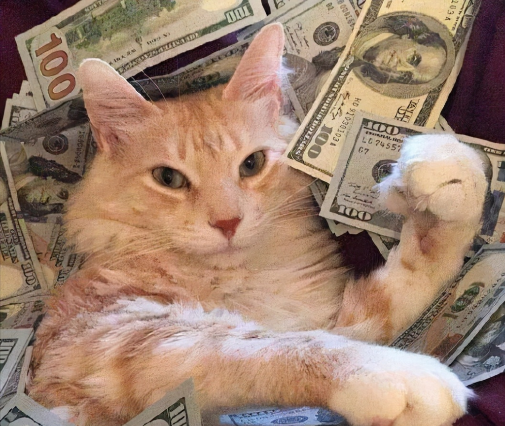 关于养猫每个月的大概花费，养猫一个月多少钱？(图2)