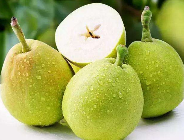 比熊上火有泪痕?这些食物,都是泪痕的“克星”(比熊有泪痕什么原因)(图2)