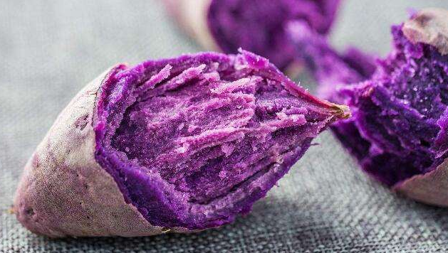 比熊上火有泪痕?这些食物,都是泪痕的“克星”(比熊有泪痕什么原因)(图4)